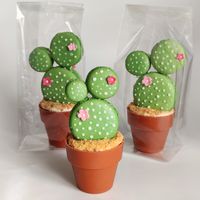 cactus macarons in chocolade potje